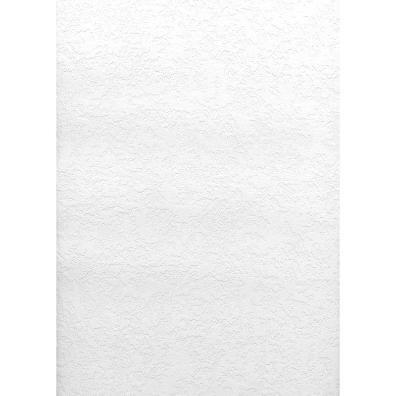 Pre-Pasted Vinyl Wallpaper Roll
