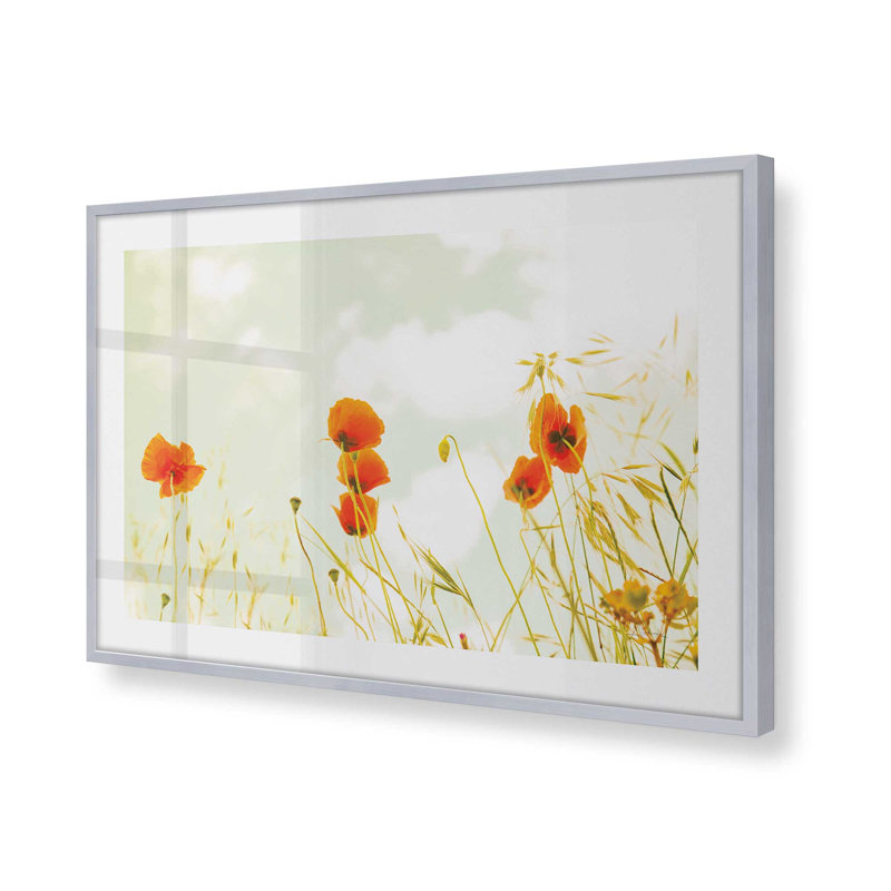 «Douce coquelicot», Cadre en chrome poli, H 12,25 po x l 15,25 po