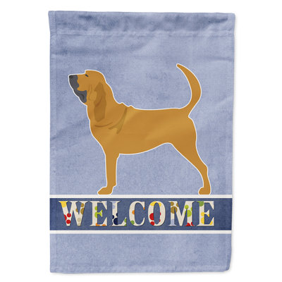 Polyester 2 côtés 40 x 28 po welcome drapeau maison