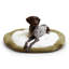 Lit pour chien Chamari Donut-364901631-364901630