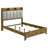 Packard Medium Oak Bookcase Bed