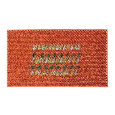 Tapis d'entrée antidérapant 30 po x 18 po Leyva