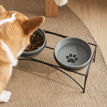 Wayfair  Dog & Pet Bowls & Feeders You'll Love in 2024