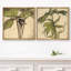 Ensemble de 2 reproductions d'art sur toile rétro encadrées de plantes botaniques-123400191-123400188