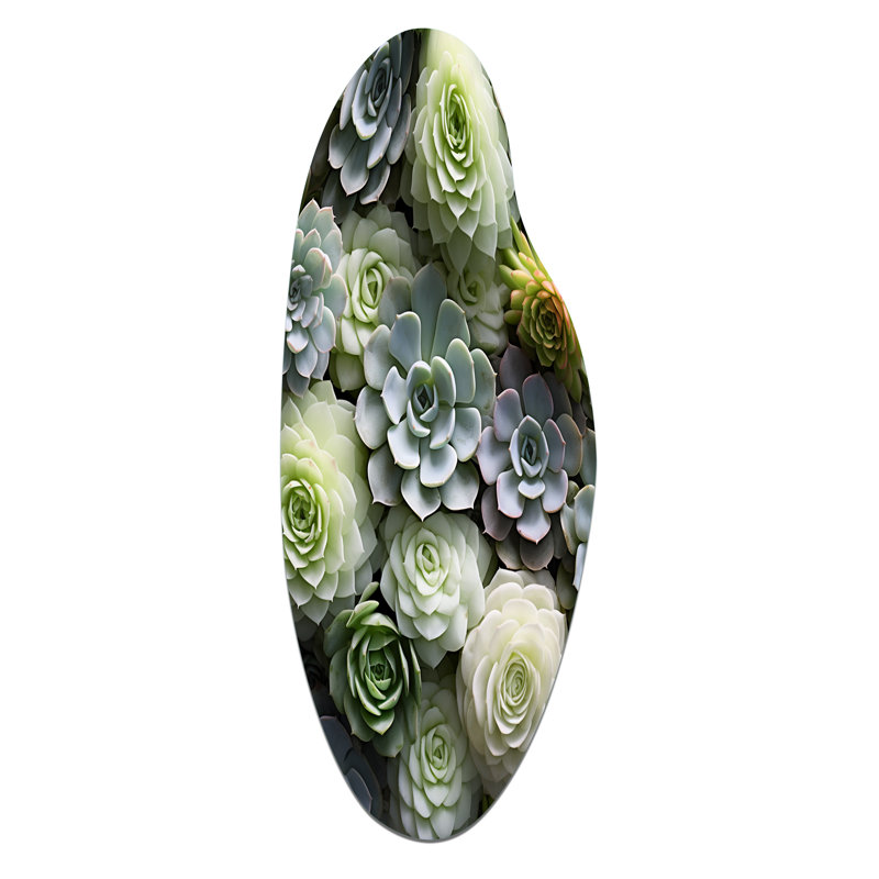 Nixon - Succulent courbure décorative murale irrégulière en métal, H 30 po x l 11 po