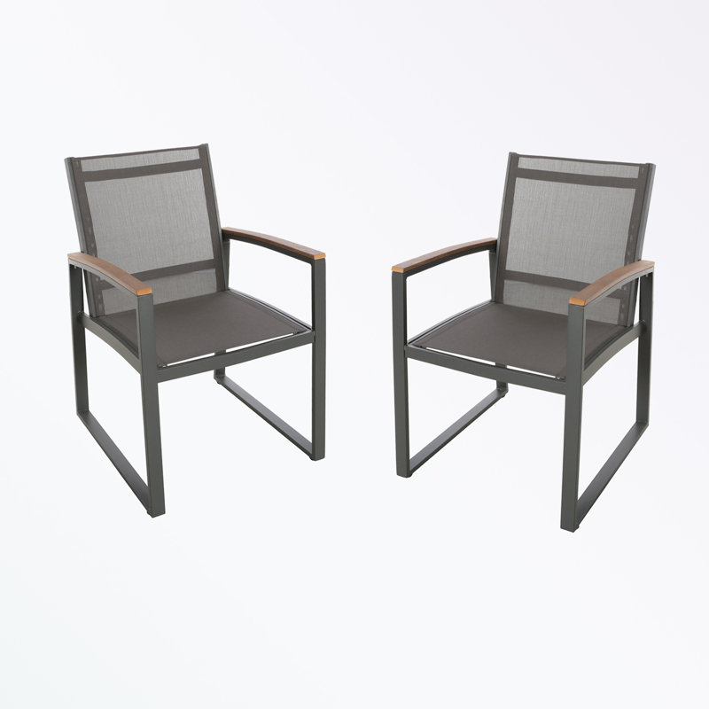 ensemble de 2 chaises de patio avec accoudoirs et pieds de traîneau, Gris