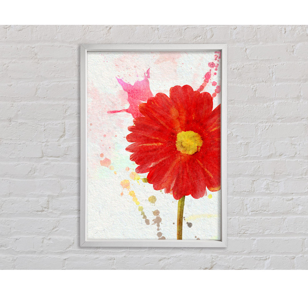 Gerbera Splash - Einzelner Bilderrahmen Kunstdrucke auf Leinwand