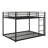 Bunk Bed Low Bunk Bed With Ladder-54189636-18588672