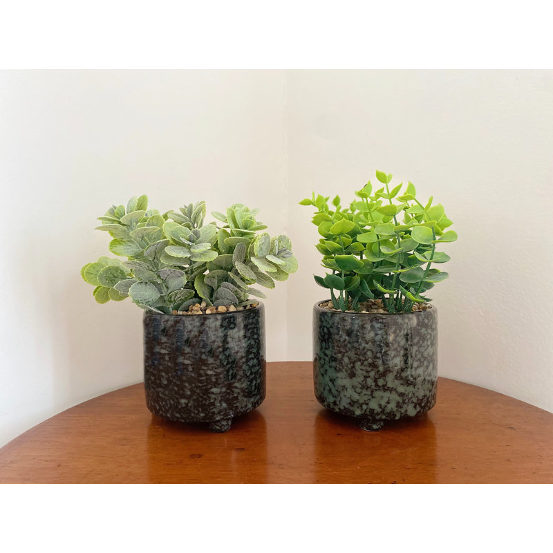 Fernly Ceramic Pot Planter