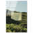 High-Gloss Acrylic Print is unavailable