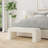 Ebern Designs Jayni Arch Channel Bench-1940965359
