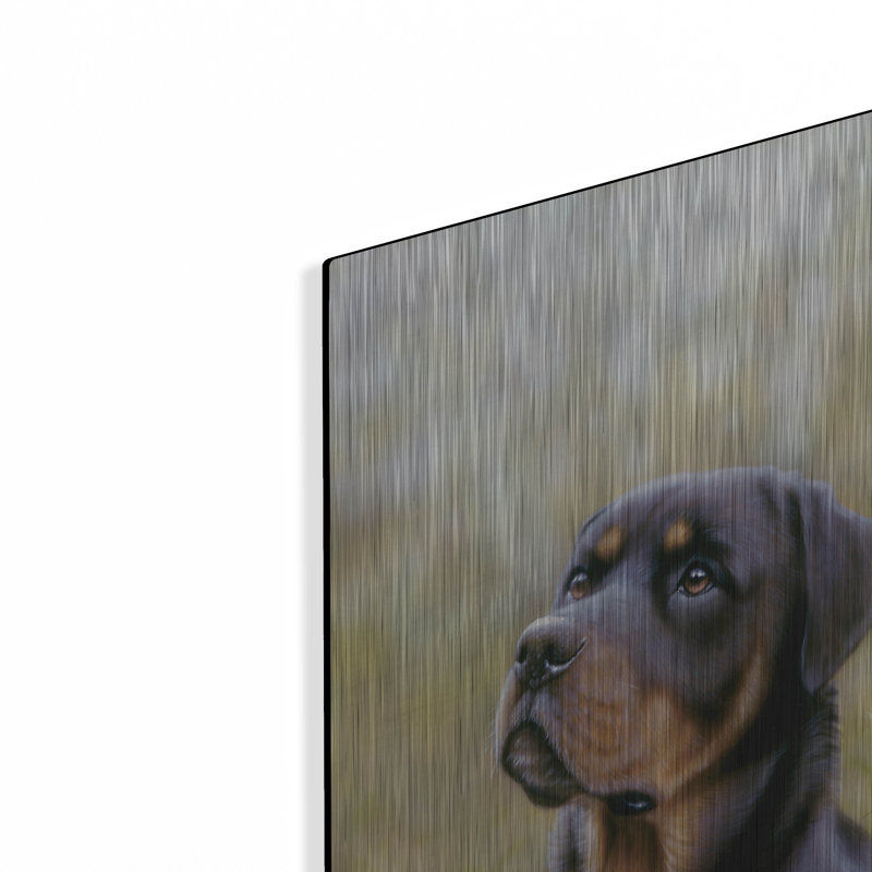 «Rottweiler Spirit of Loyauté» par John Silver, H 24 po x l 16 po