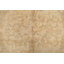 Tapis beige en laine noué à la main de conception unique 5 pi 6 po x 7 pi 10 po