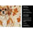 Red Tibetan Spaniel Heirloom Fall Kitchen Towel-1218231203