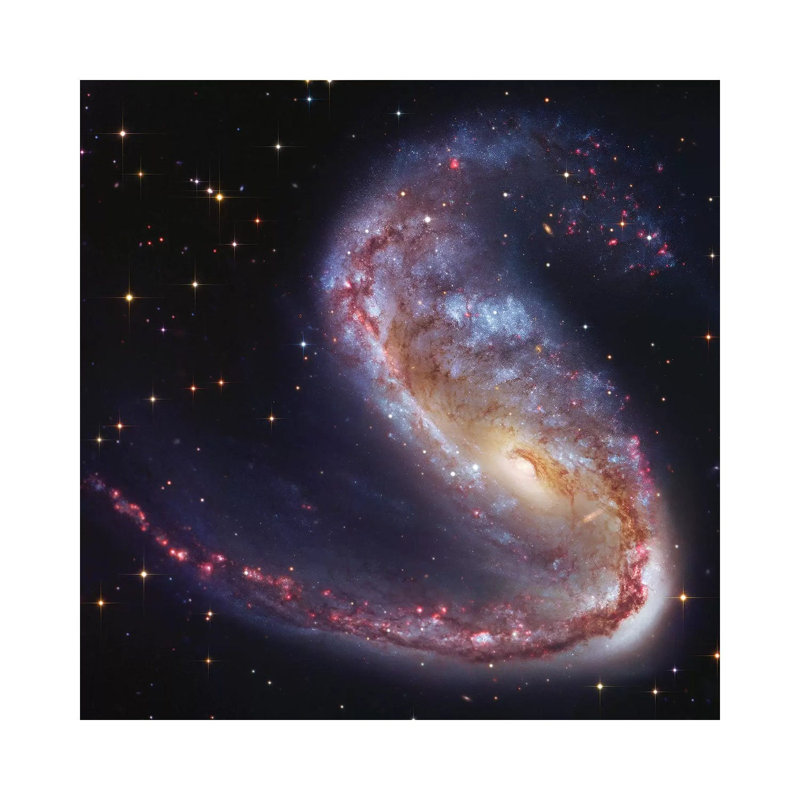 «Meathook Galaxy» par Robert Gendler, impression sur toile tendue, H 12 po x l 12 po x P 0,75 po