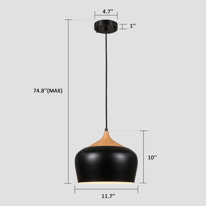 Shakopee 1 - Light Single Pendant