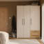 Mijah 3 Door Manufactured Wood Wardrobe-885656500
