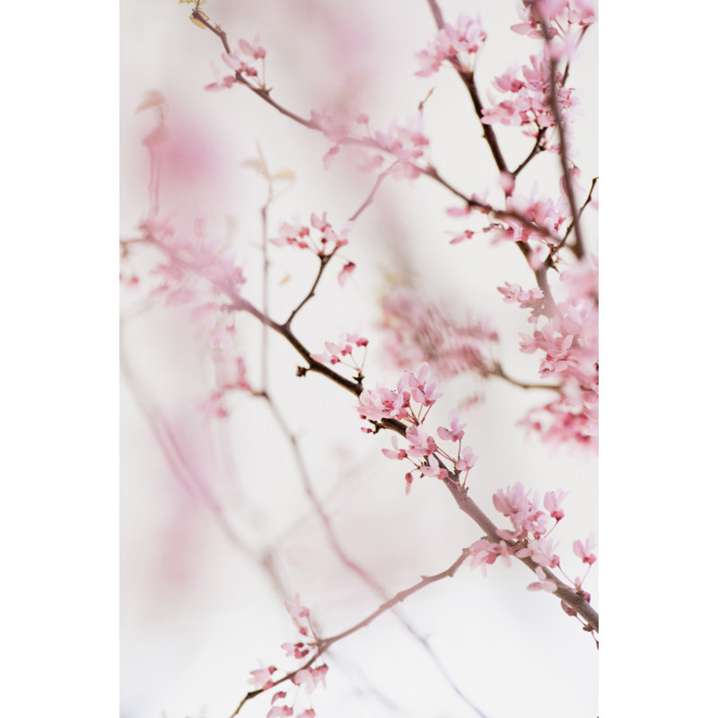 Wrapped Canvas Print, 91.44 cm H x 60.96 cm W