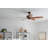 52'' Ceiling Fan-1187541487