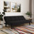 Serta Leonard 66.1" Tufted Convertible Futon Sofa