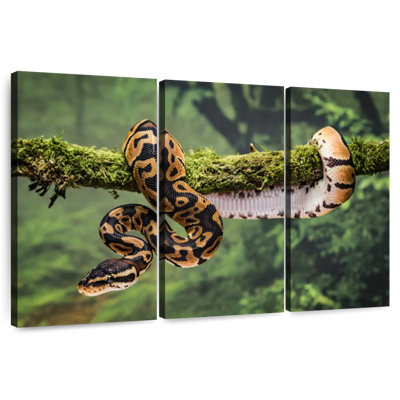 Brampt Python On Branch