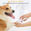 Ensemble de tondeuse électrique pour chien