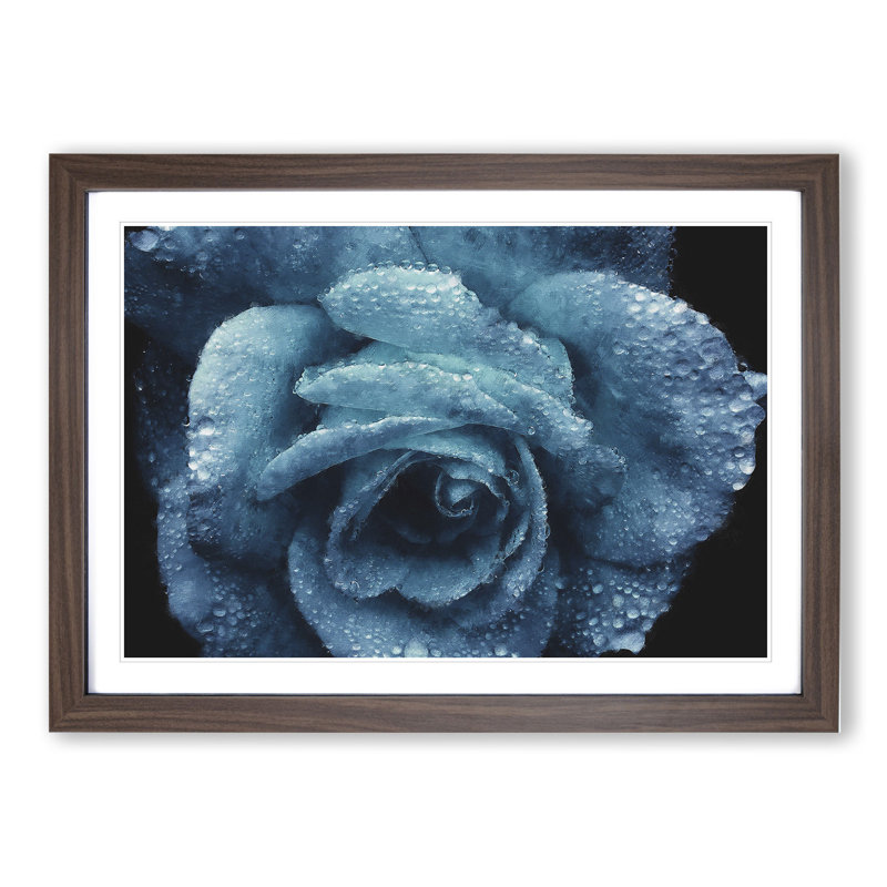 Blue Rose Flower Vol.1 - Picture Frame Painting, Walnut Framed, 48cm H x 65cm W x 2cm D