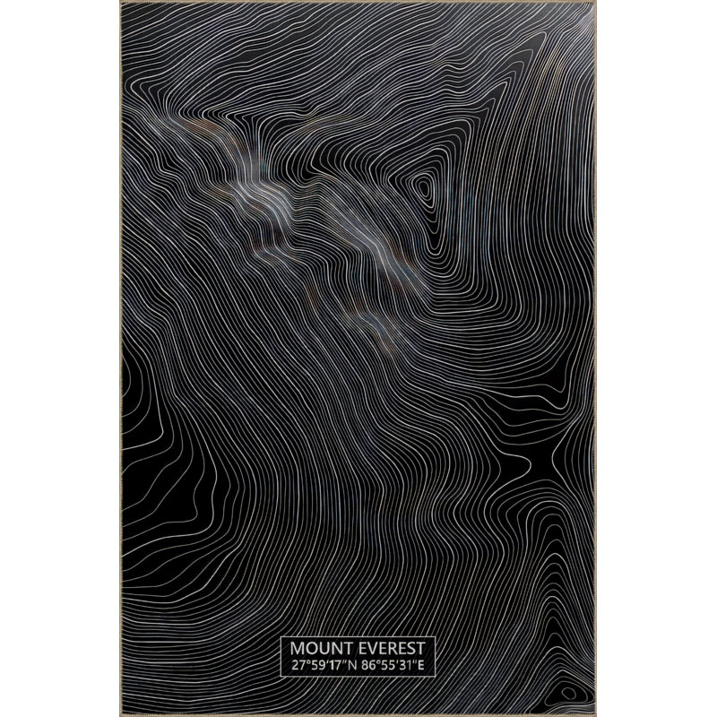 Mekena Black Striped Digital Print Polypropylene Area Rug, Rectangle 2'8" x 5'