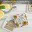 Paquet de 4 sous-verres Beehive