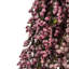 Arrangement floral rose Heather (Erica)