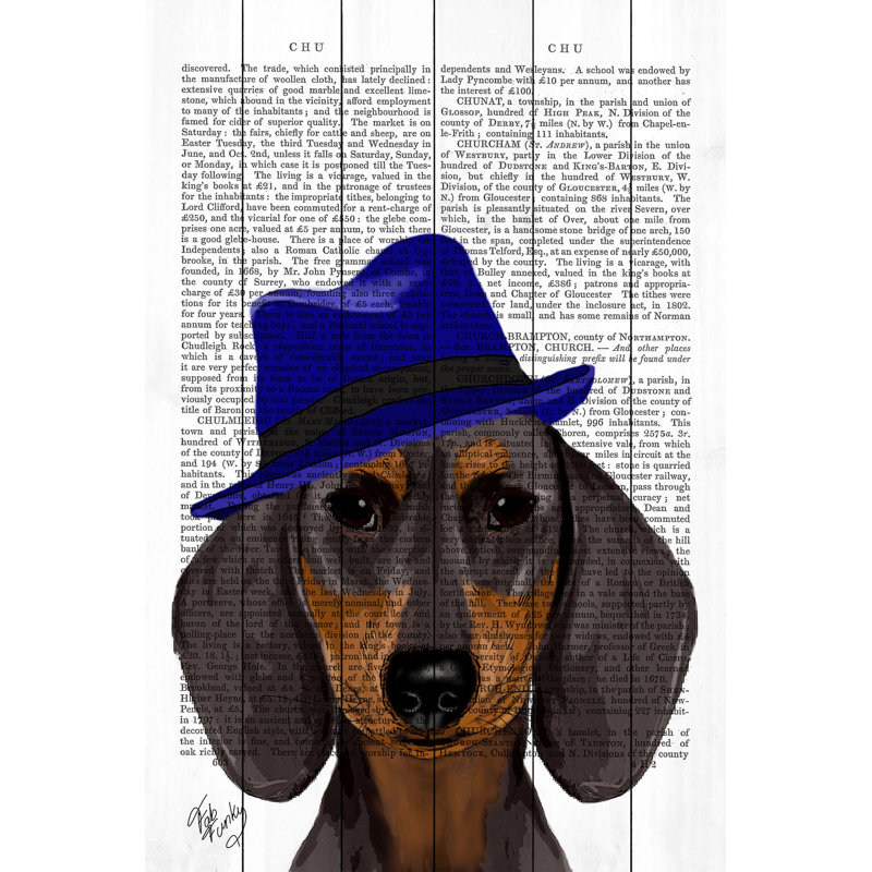 Teckel avec imprimé Trilby bleu sur bois blanc, 40 po x 60 po