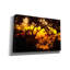«Deep Forest Sunset» par Mark Ashkenazi, art mural sur toile-365931751