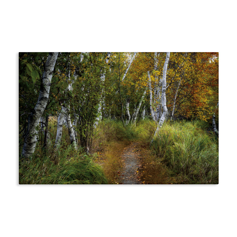 «Walk In The Hemlocks Forest Canvas», conception par D. Burt, H 16 po x l 24 po