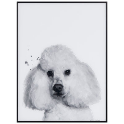 Caniche encadré sur verre