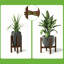 Caez Plant Stand