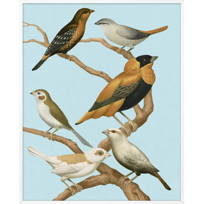 Perched 3' Framed Graphic Art Print on Glass