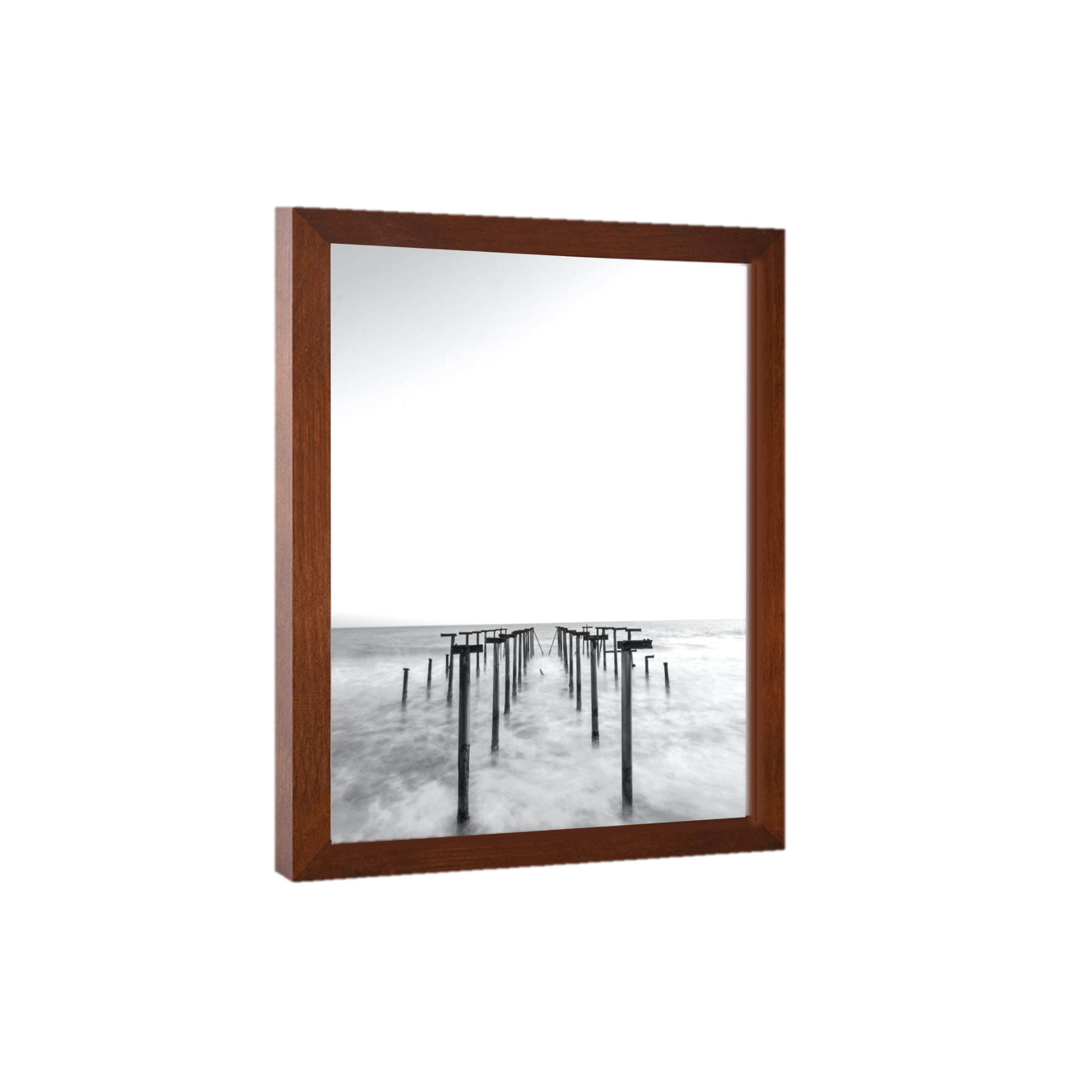 Barreneche Wood Matte Picture Frame
