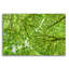 «Irish Green» par Mark A Paulda-1058946664