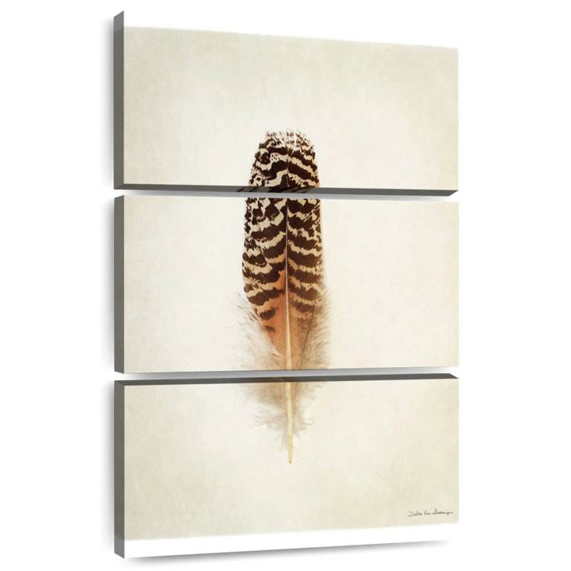Kerner Feather II, 50" H x 32" W