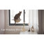 Ventouses pour chat Ceili