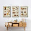 " Mushroom Species I " 3 - Pieces-91891185-91891188