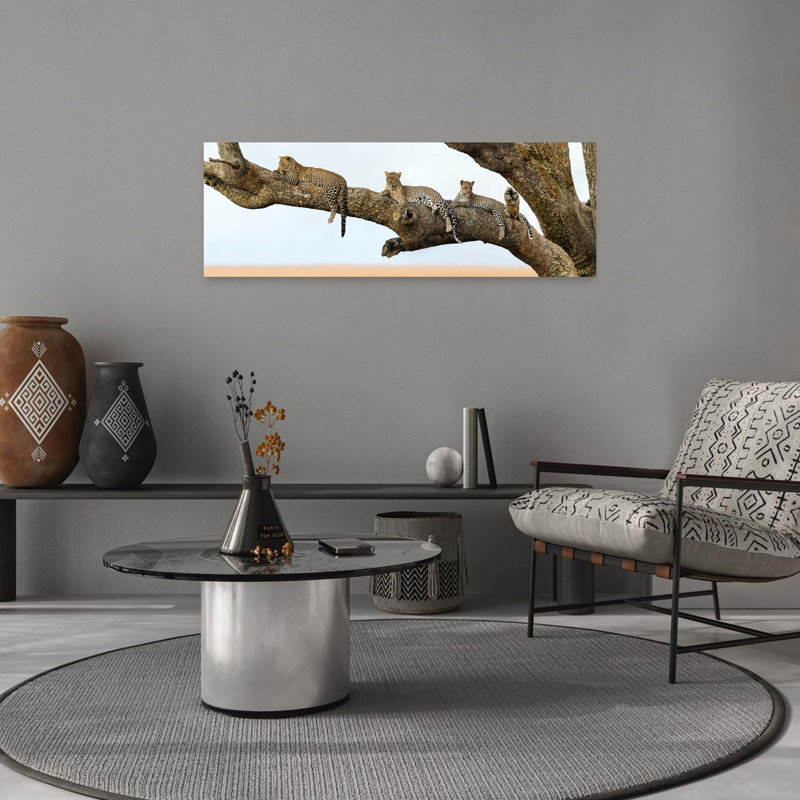 Leopard Family Sitting On A Tree Serengeti National Park Tanzania by Todd Gustafson - Wrapped Canvas Panoramic Print