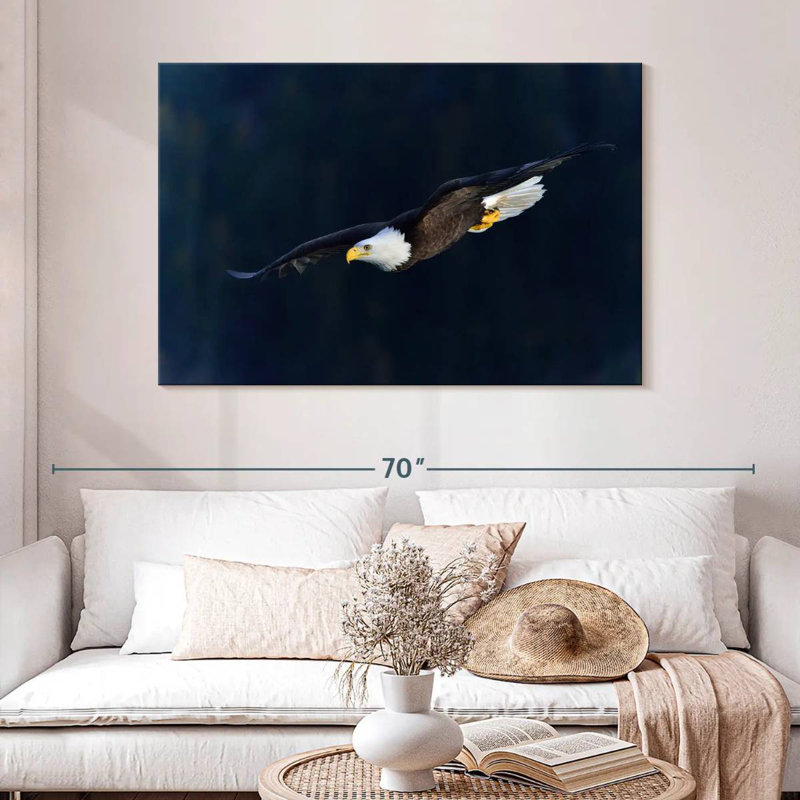 Brampt Aerodynamic Eagle, 32" H x 48" W