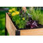 Pot à fleurs surélevé en cèdre Mezza-65006716
