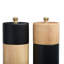 Pacey Wood Salt And Pepper Shaker Set