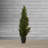 Faux Cedar Tree in Pot-33247202
