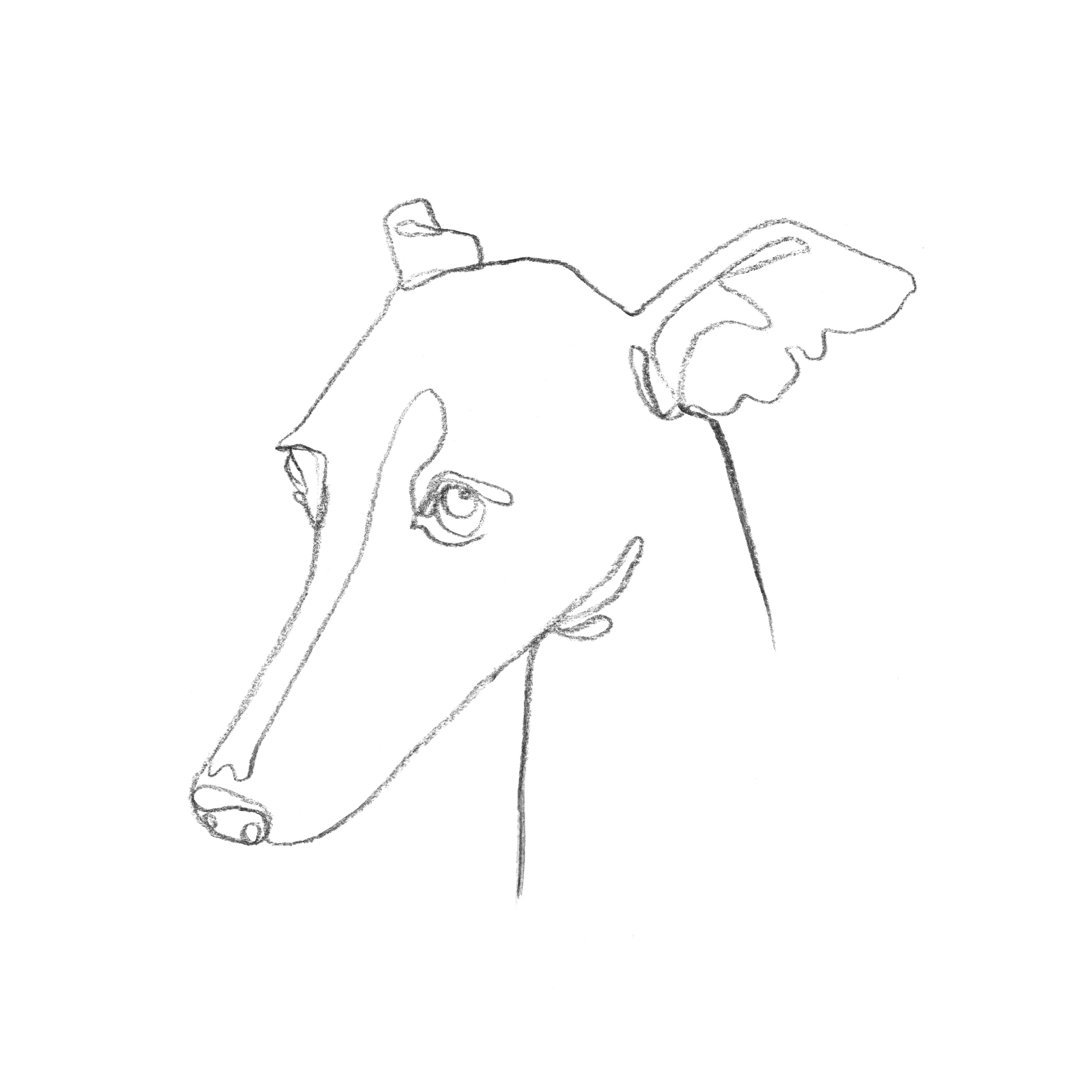 " Greyhound Pencil Portrait I " by Emma Scarvey Red Barrel Studio® 