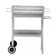 Tepro Pasadena Trolley Mounted Charcoal BBQ Grill | Wayfair.co.uk