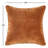 Goodall Velvet Pillow Cover & Insert-103639427-103639429