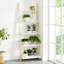 Mallie 96.8cm H x 41cm W Ladder Bookcase